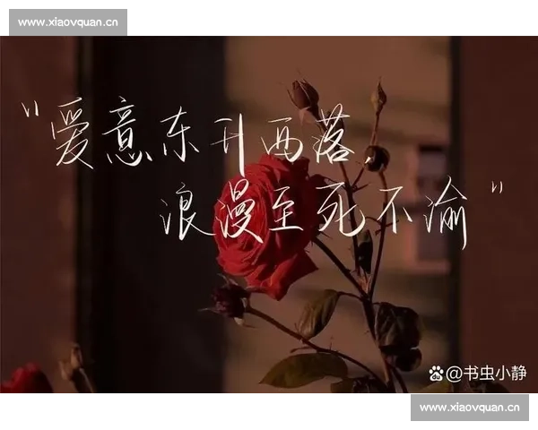 再见爱人：那些无言的告别与彼此心底深藏的温柔回忆